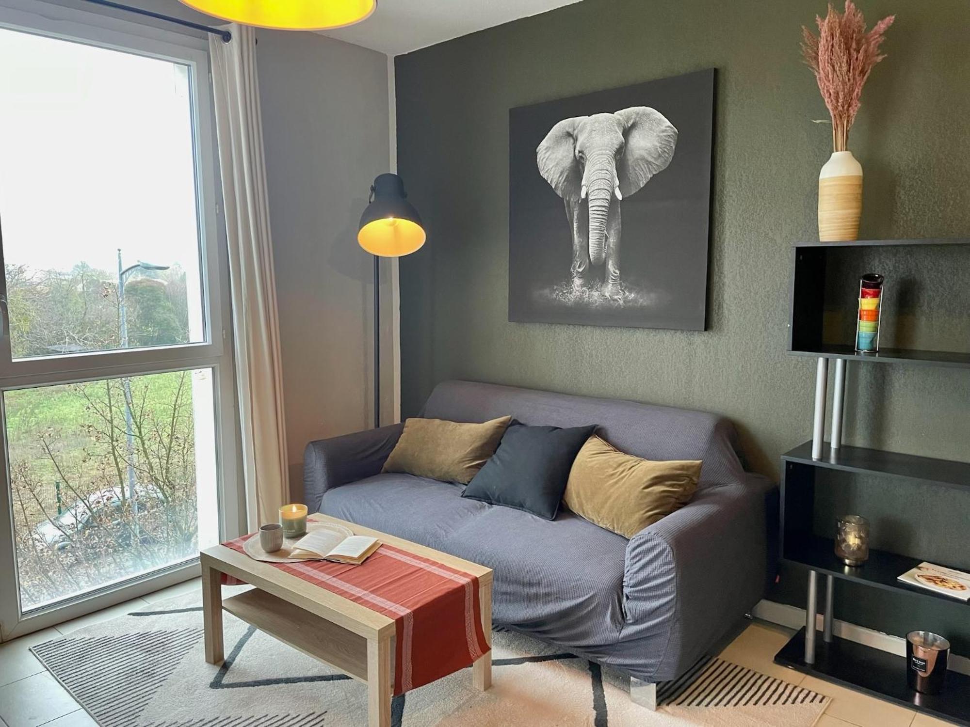 Le Colorado - Appartement Proche Airbus 科洛米耶 外观 照片