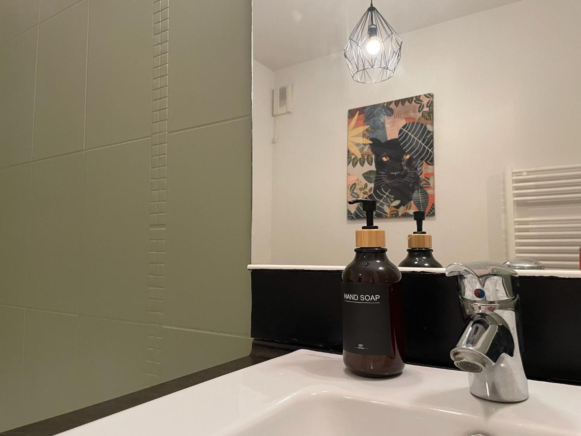Le Colorado - Appartement Proche Airbus 科洛米耶 外观 照片